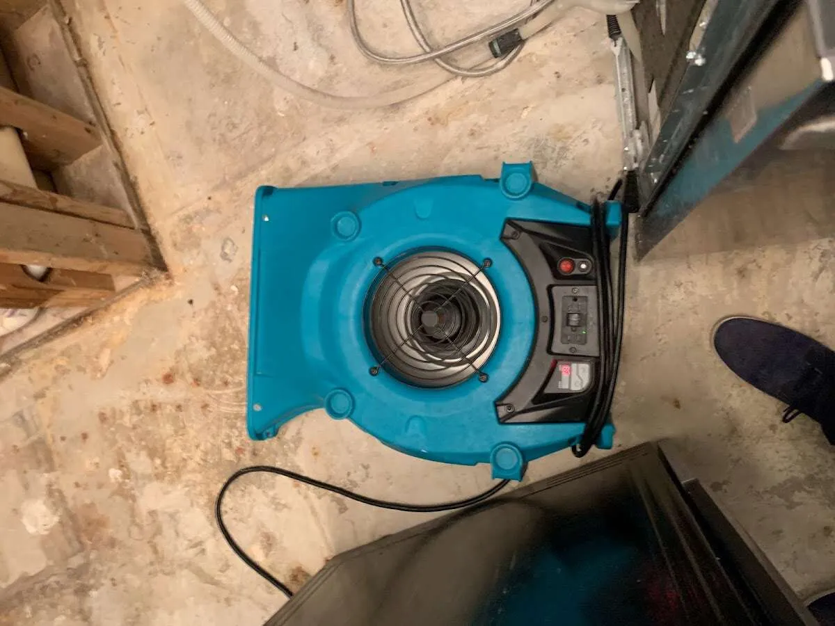 Air mover drying equipment for Mold Remediation & Removal in Decatur